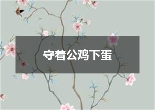 守着公鸡下蛋