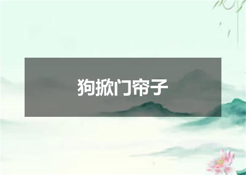 狗掀门帘子