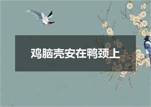 鸡脑壳安在鸭颈上