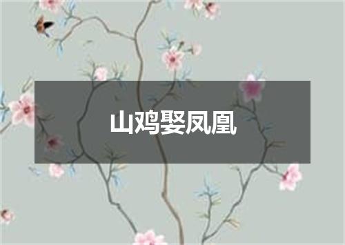 山鸡娶凤凰