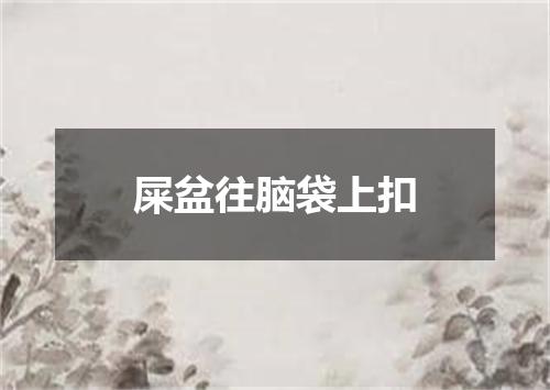 屎盆往脑袋上扣