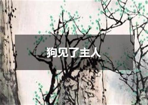 狗见了主人