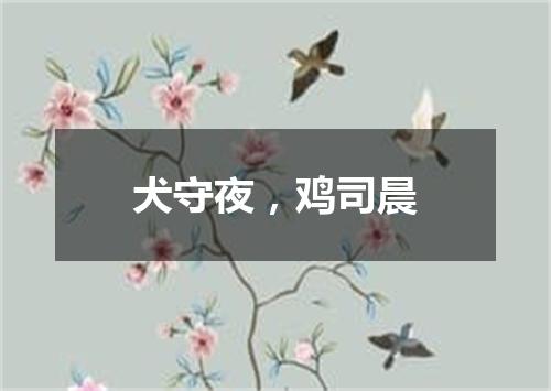 犬守夜，鸡司晨