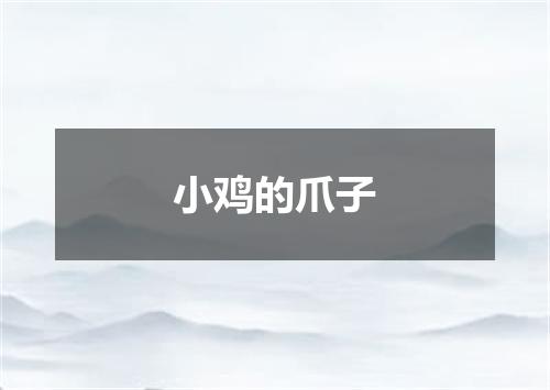 小鸡的爪子