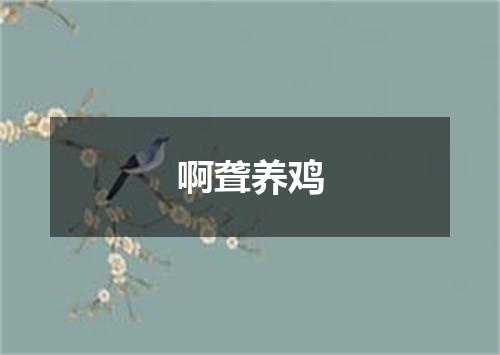 啊聋养鸡