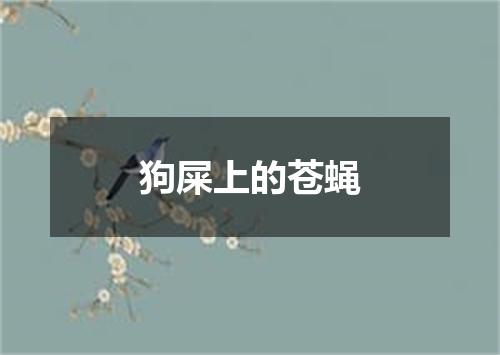 狗屎上的苍蝇