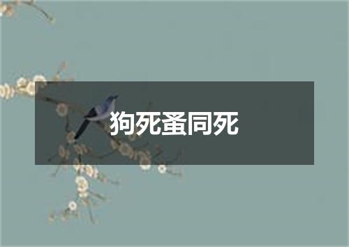 狗死蚤同死