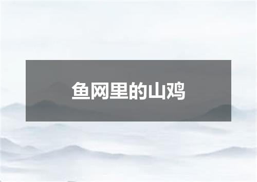 鱼网里的山鸡