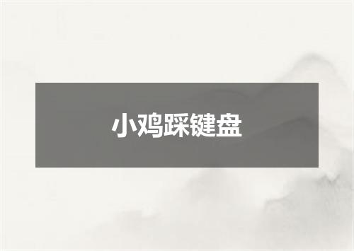 小鸡踩键盘