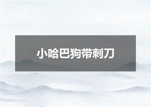 小哈巴狗带刺刀