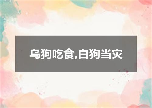 乌狗吃食,白狗当灾