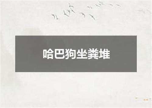 哈巴狗坐粪堆