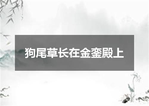 狗尾草长在金銮殿上