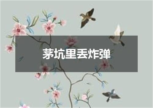 茅坑里丢炸弹