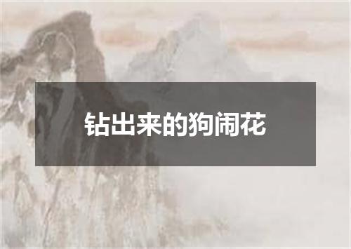 钻出来的狗闹花