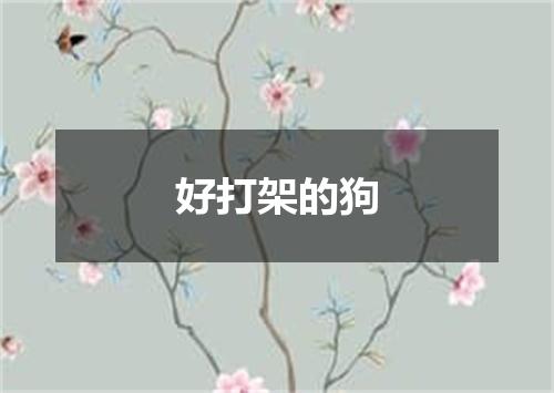 好打架的狗