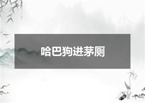 哈巴狗进茅厕