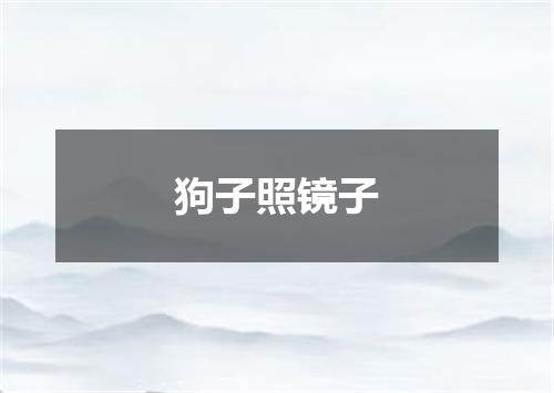 狗子照镜子