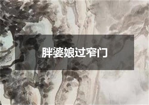 胖婆娘过窄门