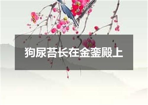 狗尿苔长在金銮殿上