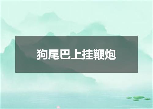 狗尾巴上挂鞭炮