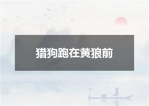 猎狗跑在黄狼前
