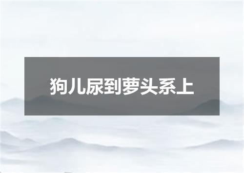 狗儿尿到萝头系上