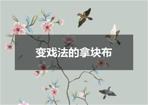 变戏法的拿块布