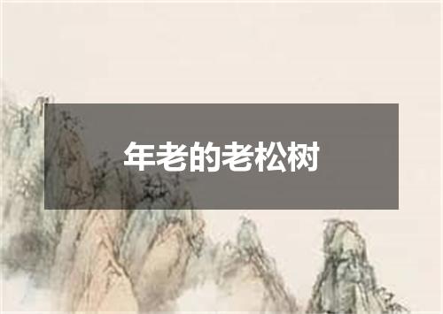年老的老松树