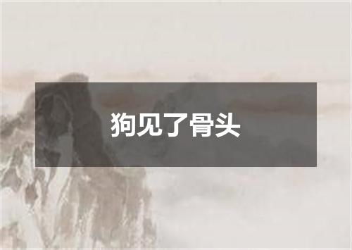 狗见了骨头