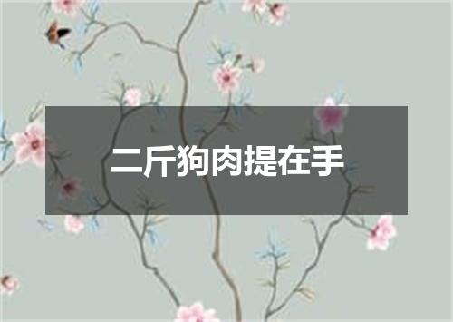二斤狗肉提在手