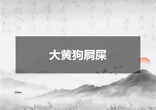 大黄狗屙屎