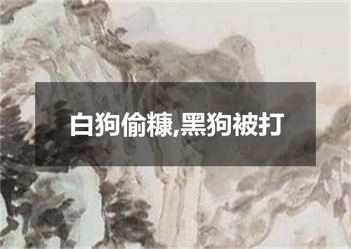 白狗偷糠,黑狗被打