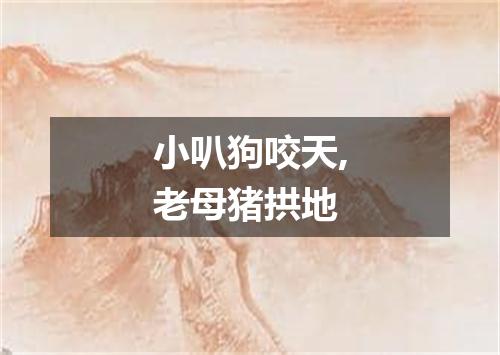 小叭狗咬天,老母猪拱地
