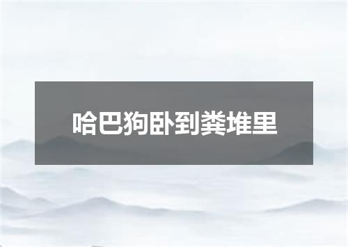 哈巴狗卧到粪堆里