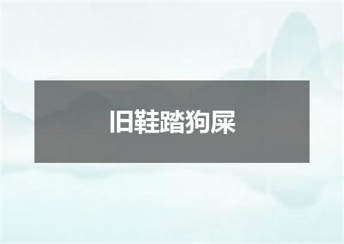 旧鞋踏狗屎