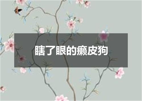 瞎了眼的癞皮狗
