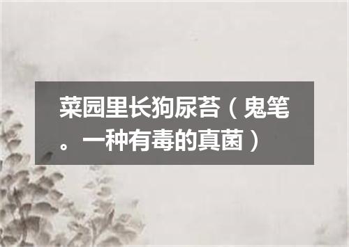 菜园里长狗尿苔（鬼笔。一种有毒的真菌）
