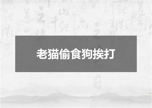 老猫偷食狗挨打