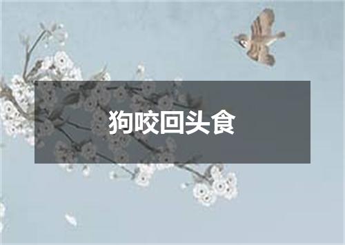 狗咬回头食