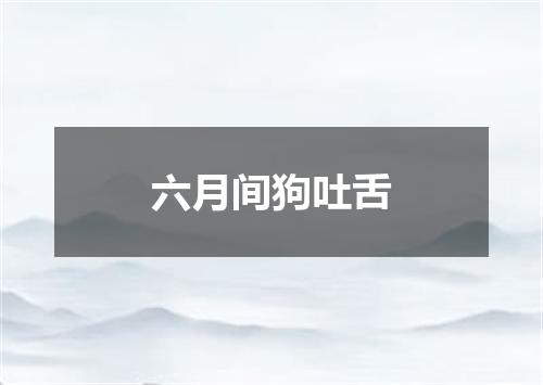 六月间狗吐舌