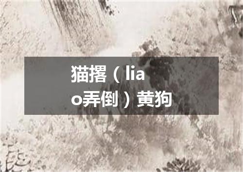 猫撂（liao弄倒）黄狗