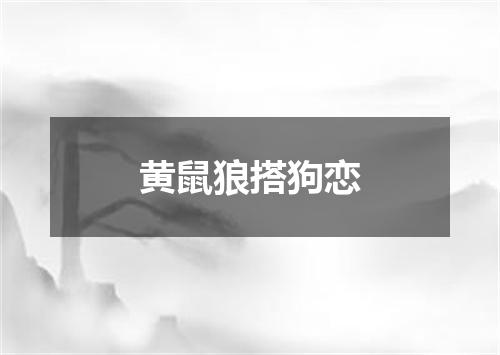 黄鼠狼搭狗恋