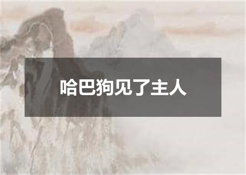 哈巴狗见了主人