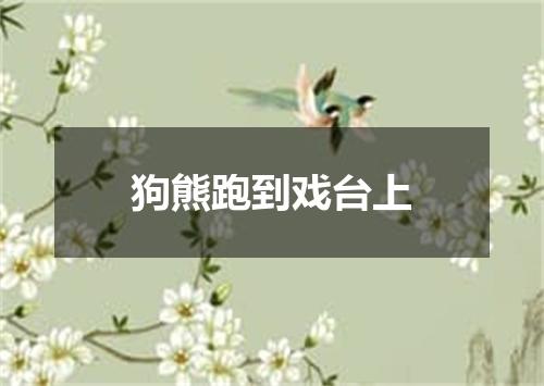 狗熊跑到戏台上