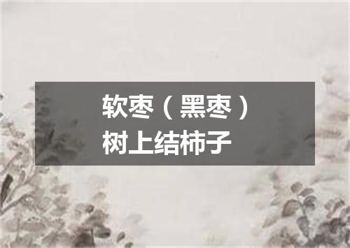 软枣（黑枣）树上结柿子