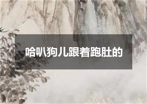 哈叭狗儿跟着跑肚的