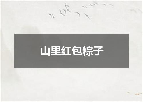 山里红包粽子