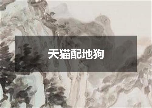 天猫配地狗