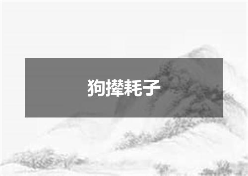 狗撵耗子